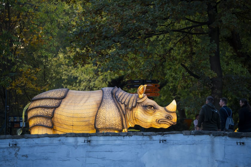 Wystawa Garden of Lights: Dzika Azja we wrocławskim zoo, październik 2024